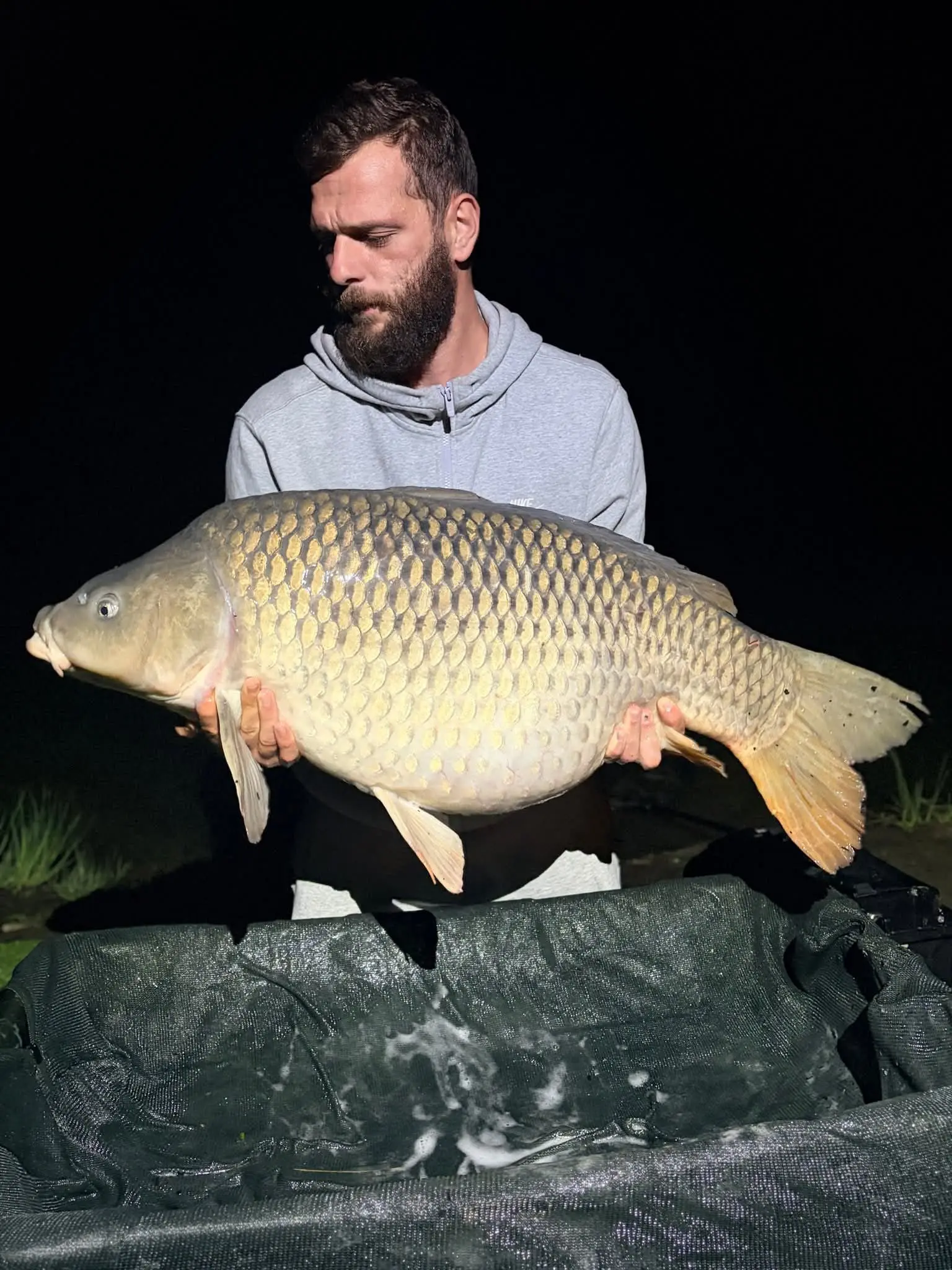 Carpe pêchée à l'étang de Saint-Géry